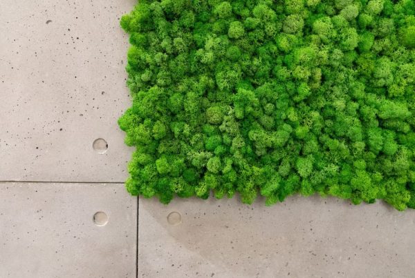 Come creare un giardino verticale con erba sintetica