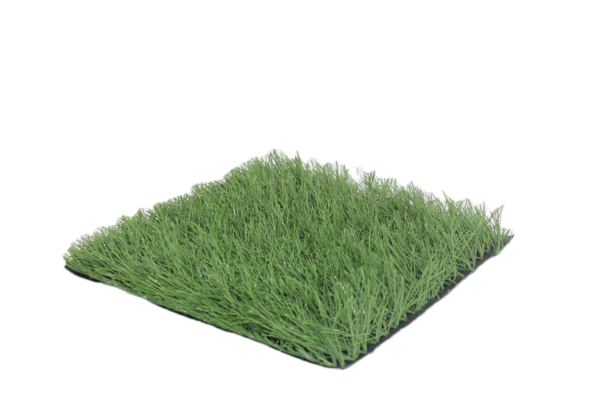 Top Soccer 50 IMG 5846 senza sfondo senza sfondo