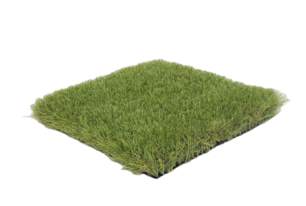 Elysium senza sfondo