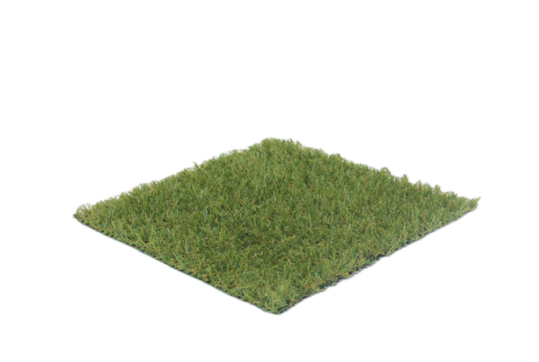 Essence 2 senza sfondo