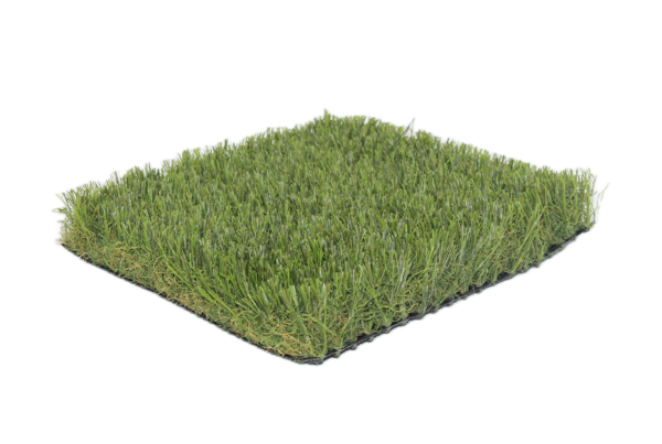 Flora x 2 senza sfondo