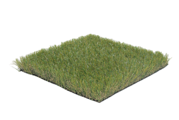 Greenside 40 3 senza sfondo