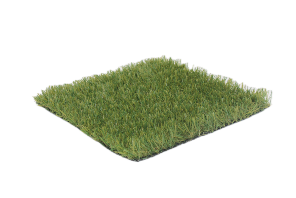 Kilometros 2 senza sfondo