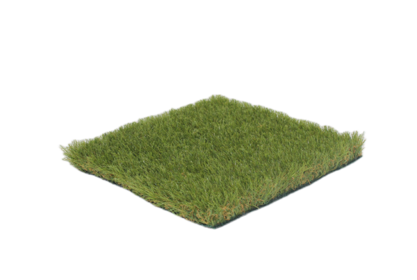 Lavande 8 senza sfondo