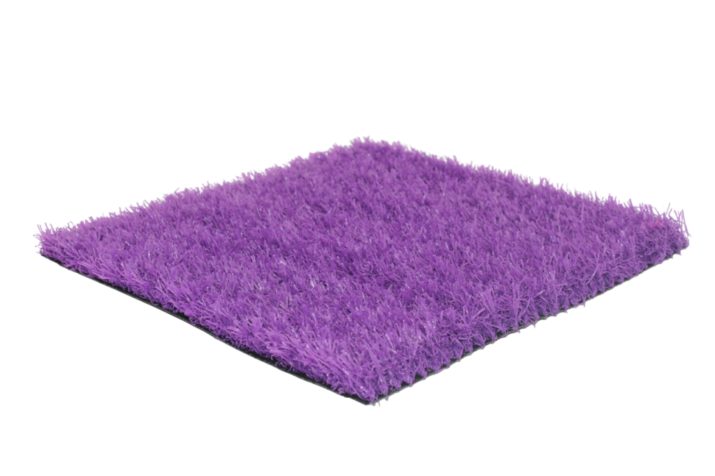 M-Paly Viola_IMG_5752-Photoroom M Paly Viola IMG 5752 Photoroom