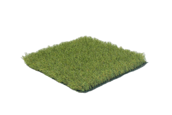 Primero 2 senza sfondo