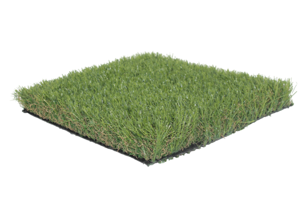 Riven 50 IMG 5756 Photoroom