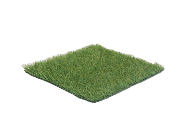 Soleado 6 senza sfondo