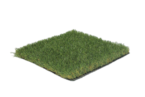 Tonale 5 senza sfondo