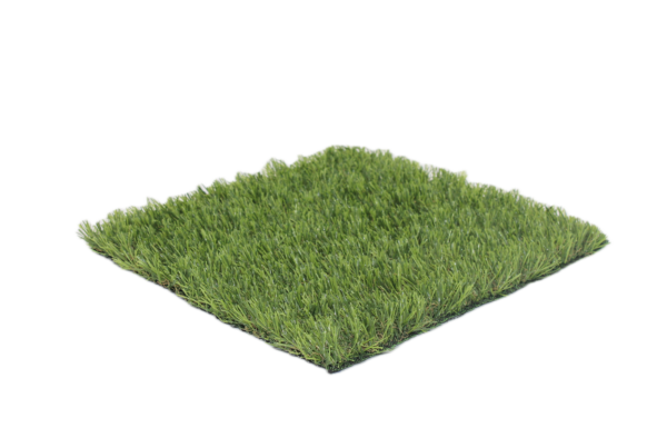 Verano 4 senza sfondo