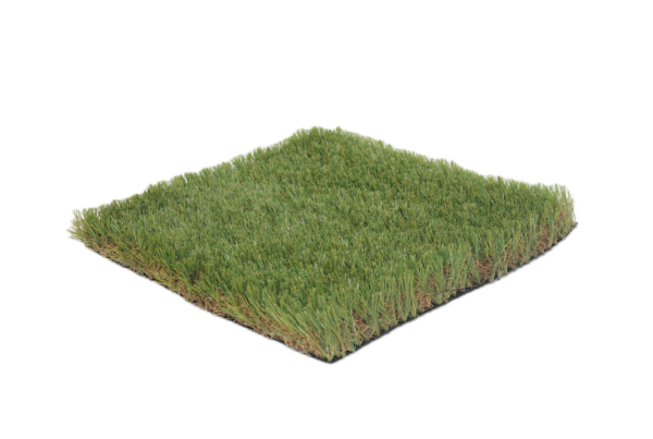 Versilia 7 senza sfondo