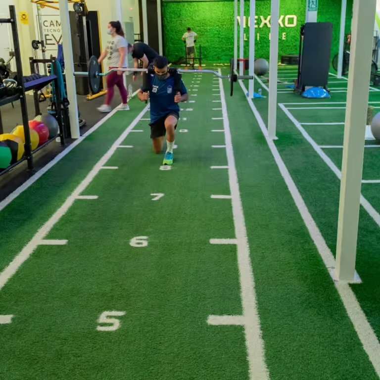 cesped artificial gimnasio nexxo life 02 1.jpg7
