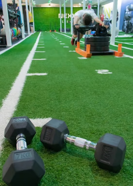 cesped artificial gimnasio nexxo life 05 1