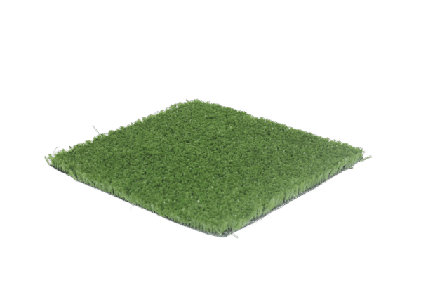 Campeon Verde IMG 5810