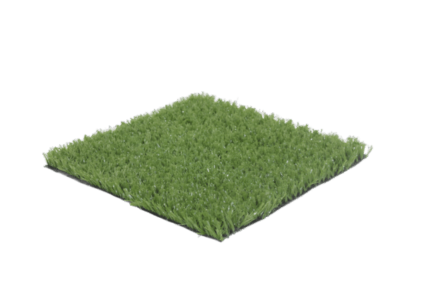 Deportivo 20 IMG 5785