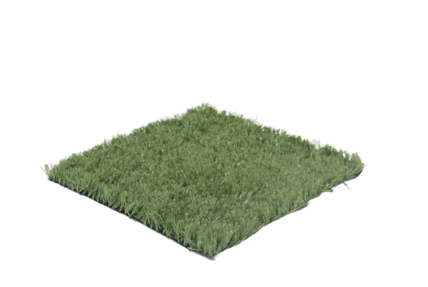 Deportivo 25 IMG 5793