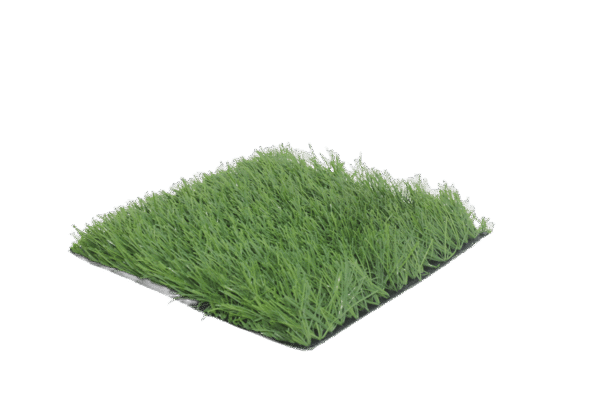 Football 50 IMG 5807